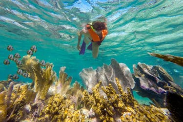Excursion de plongée en apnée dans le récif de Puerto Morelos et déjeuner de la Riviera Maya